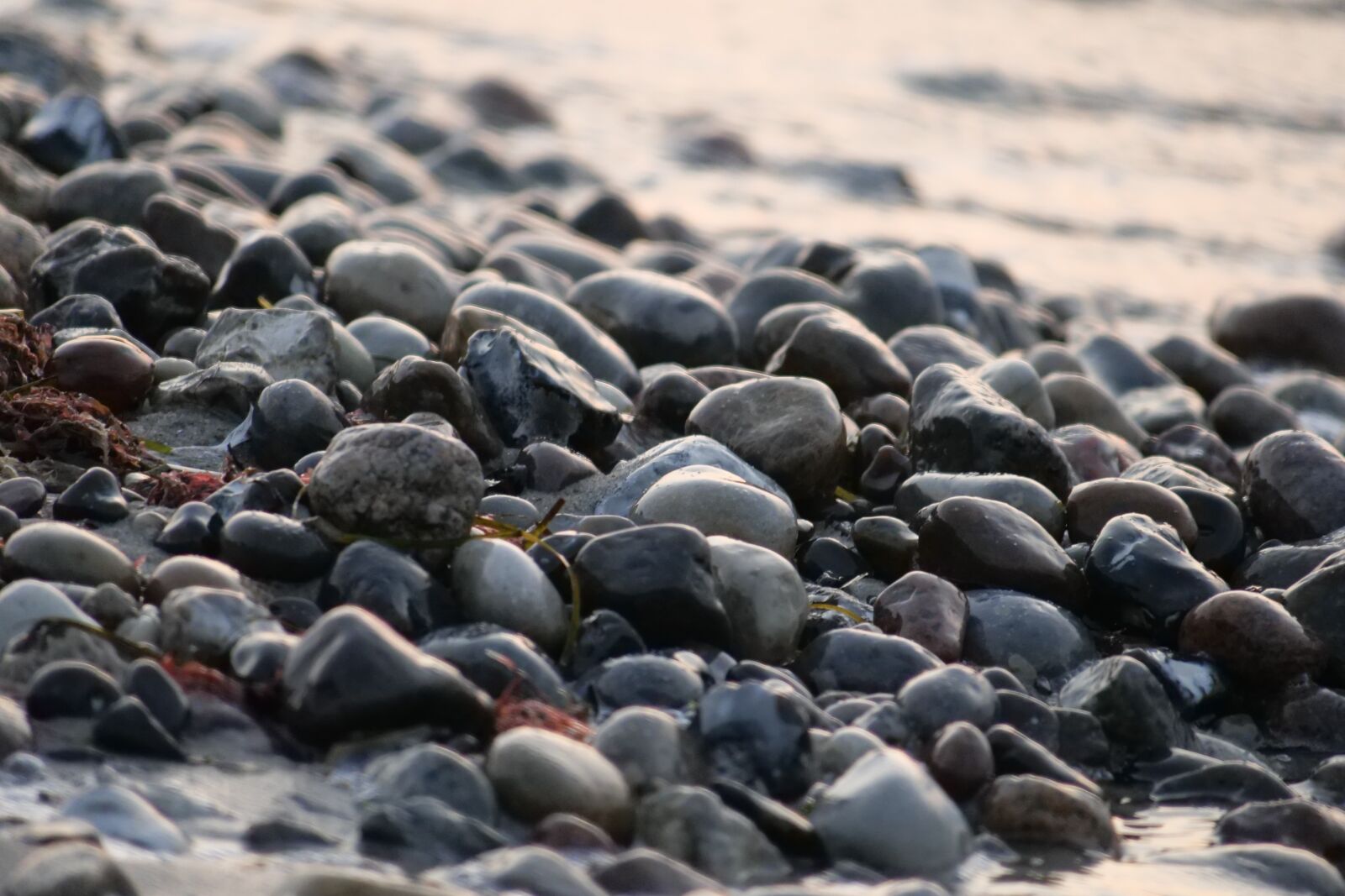 Panasonic Lumix DC-G9 sample photo. Coast, nature, beach photography