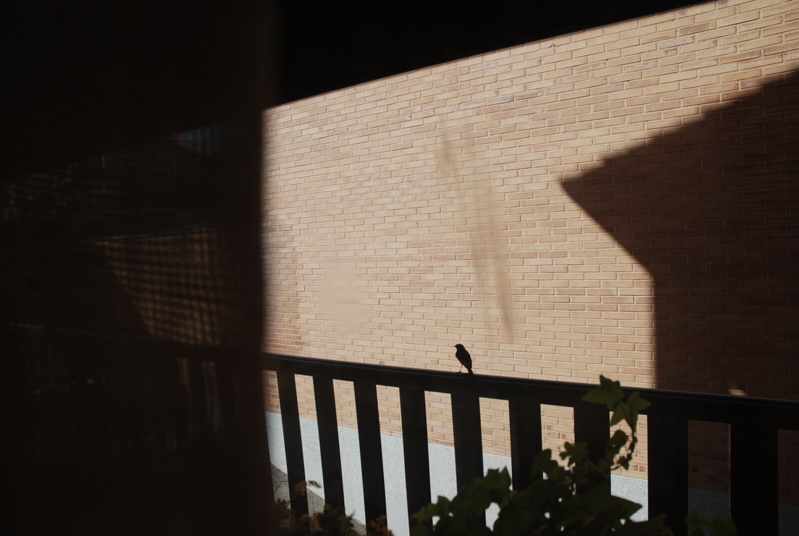 Nikon D80 sample photo. Birds, nature, animal world photography
