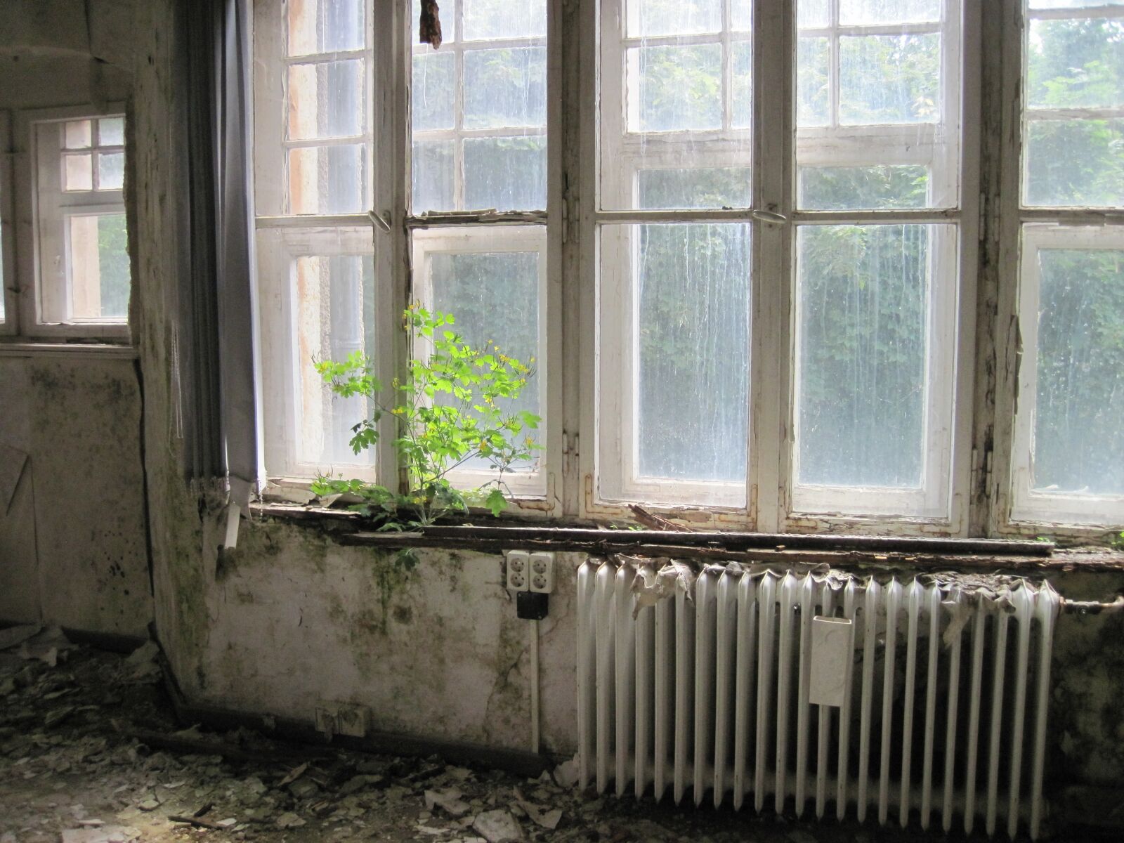 Canon PowerShot D10 sample photo. Room, window, heating photography