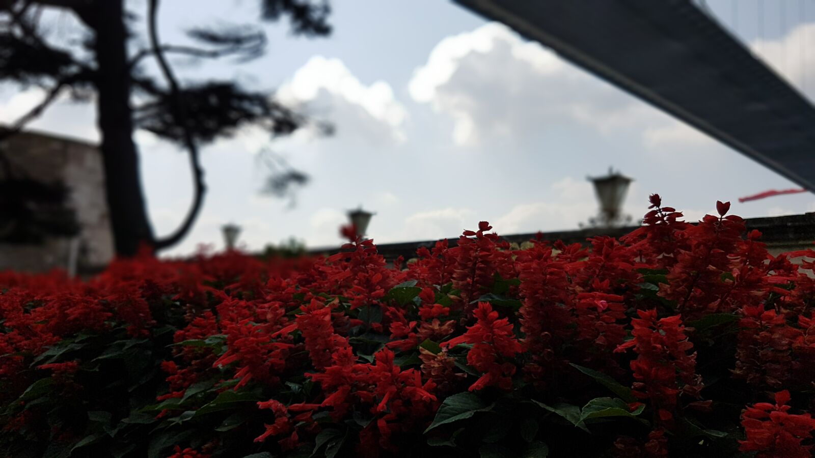 Samsung Galaxy S7 Edge sample photo