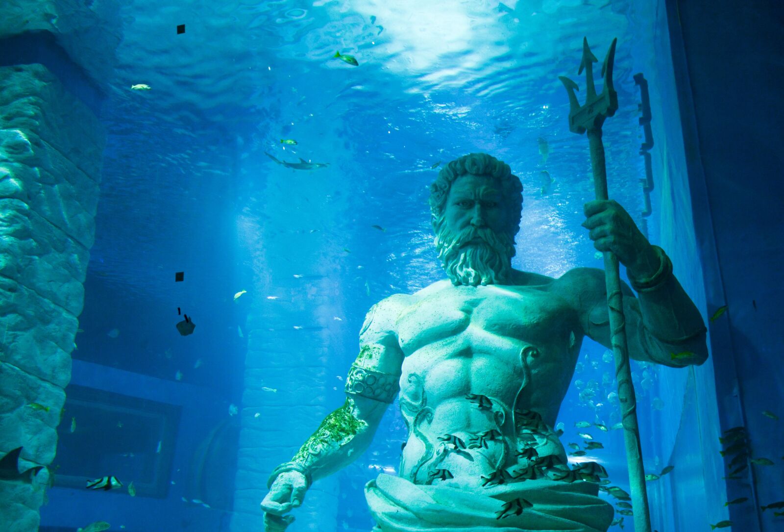 Nikon D7100 sample photo. Poseidon, marine, the sea photography
