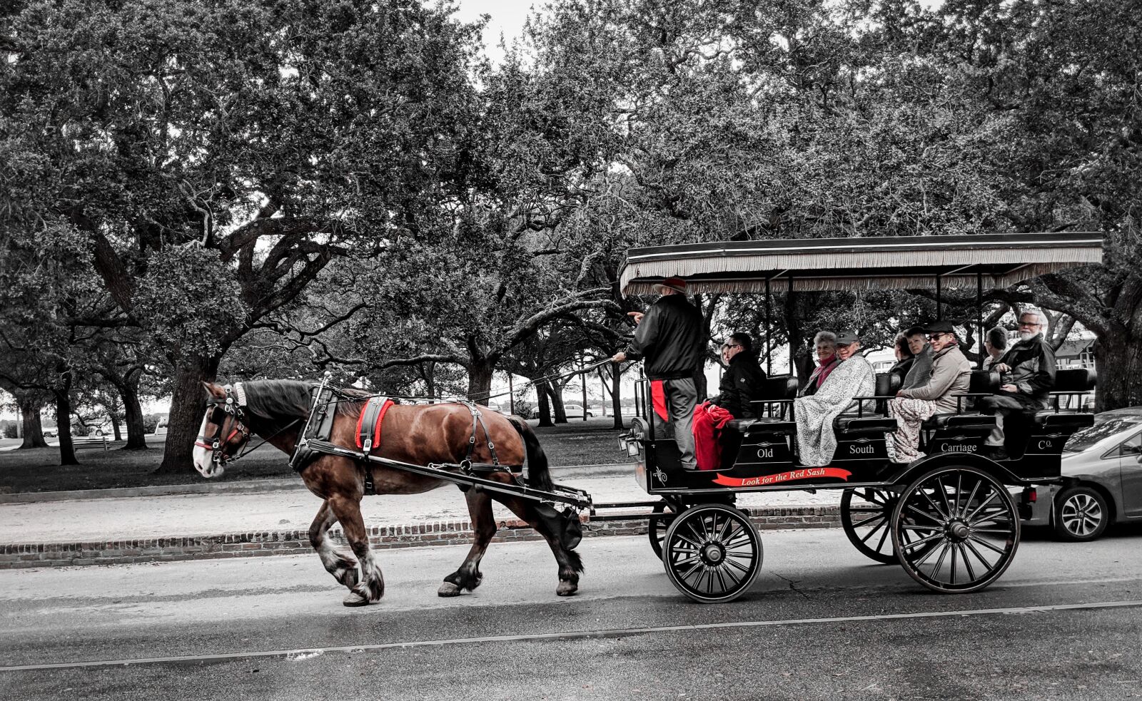 Google Pixel 2 XL sample photo. Charleston, south carolina, sc photography