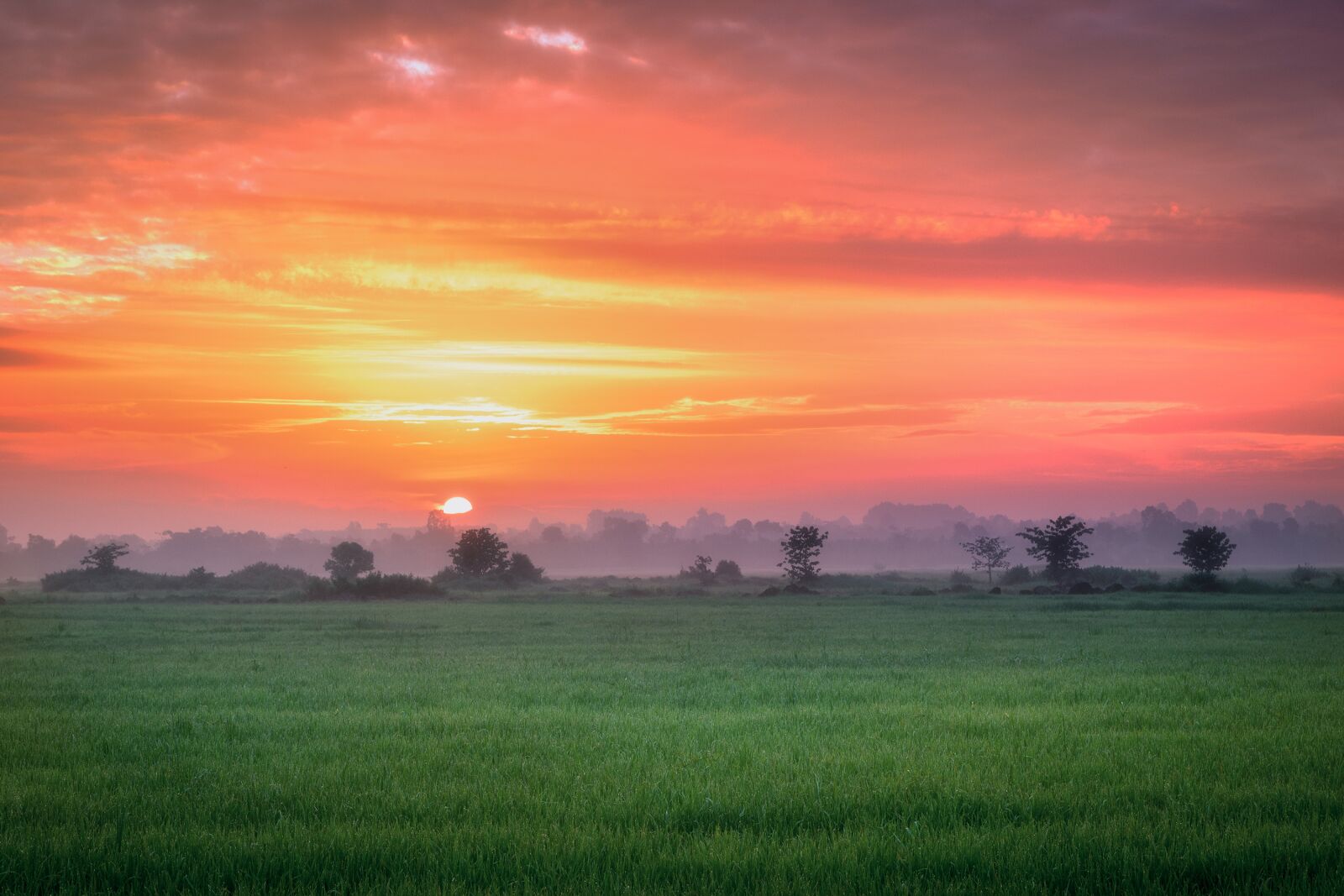 Nikon D3300 sample photo. Sunrise, colorfull sky, morning photography