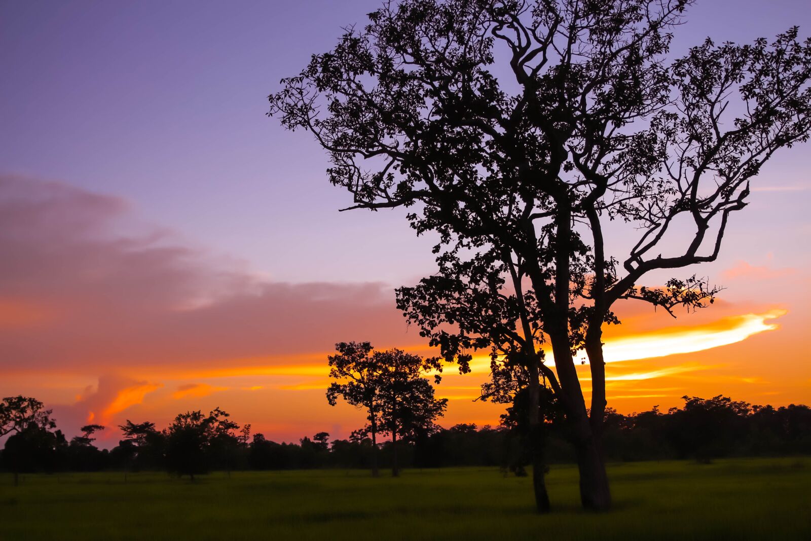 Canon EOS 650D (EOS Rebel T4i / EOS Kiss X6i) sample photo. View, silhouette, evening photography
