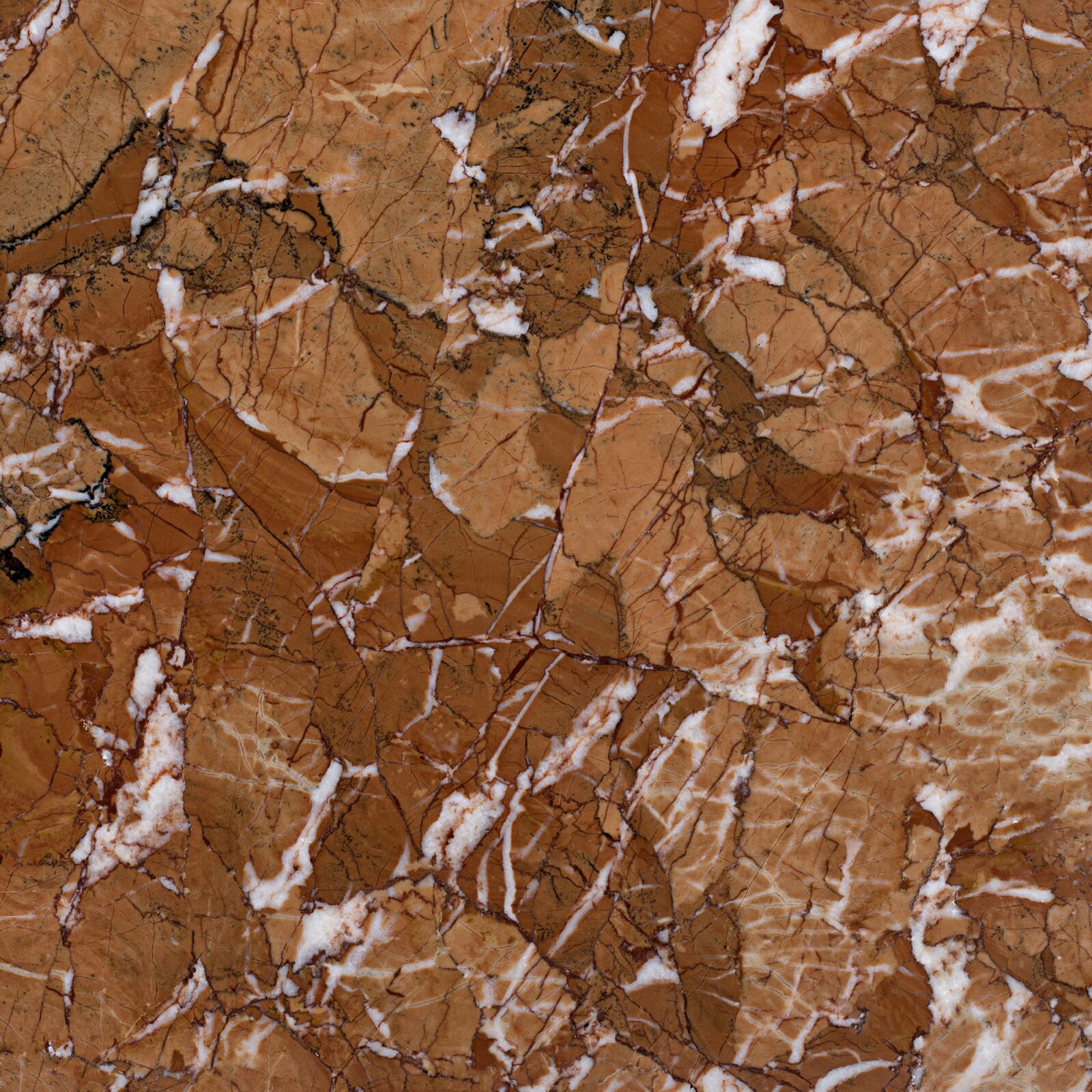 Canon EF 100mm F2.8L Macro IS USM sample photo. Rock, tiles, structure photography
