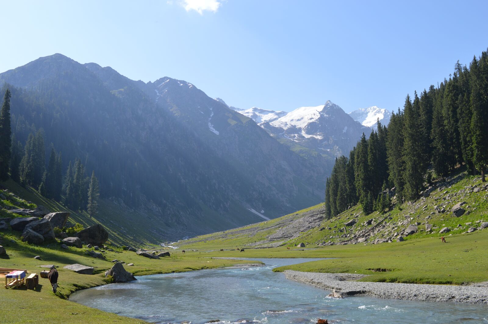 Nikon D3200 sample photo. Kumrat, pakistan, mountain photography