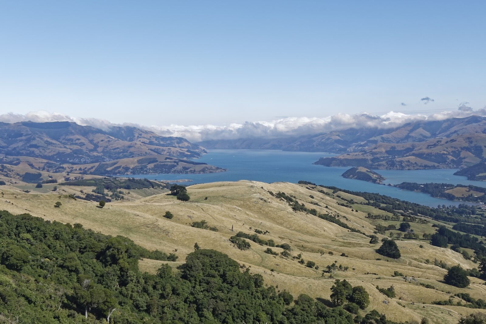 Nikon D500 sample photo. New zealand, banks peninsula photography