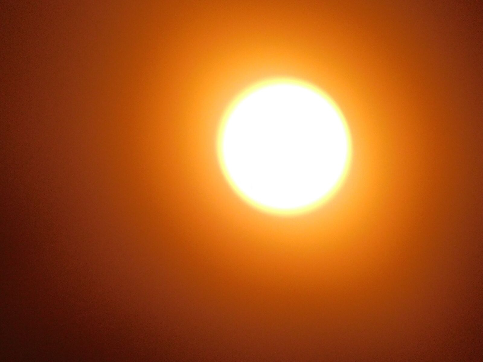 Nikon Coolpix B500 sample photo. Nature, summer, sky photography