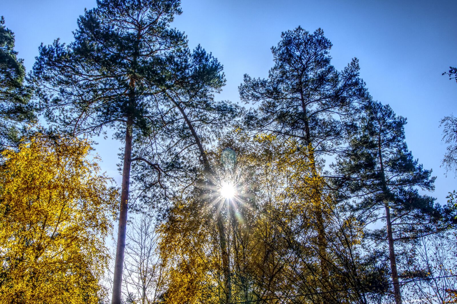 Sony a6000 sample photo. Backlighting, sun, sunset photography