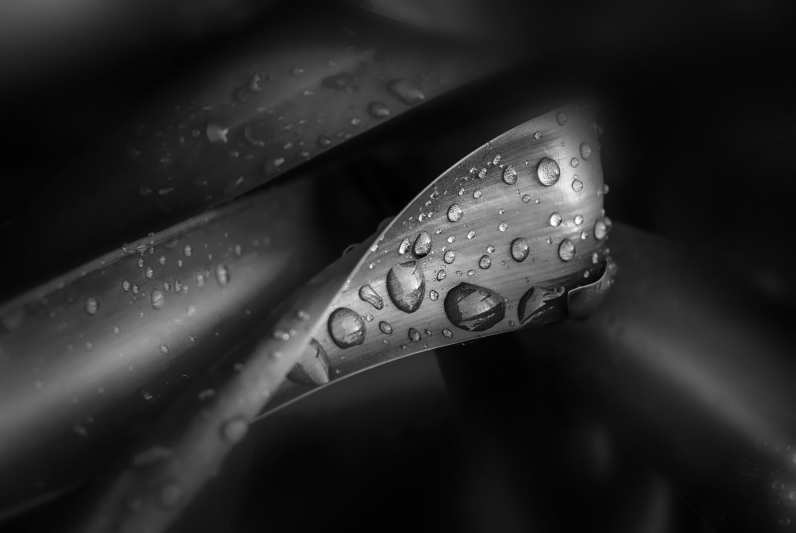 Nikon D200 sample photo. Nature, drop of water photography