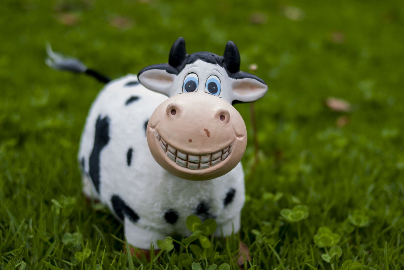 Nikon D60 sample photo. Cow, toy, lawn photography