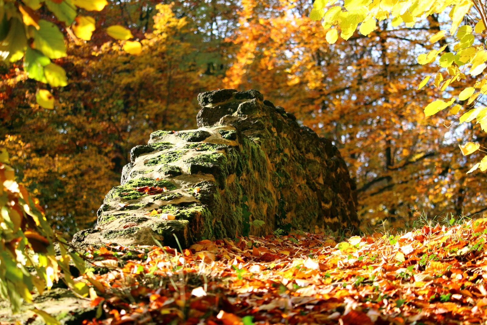 Canon EOS 100D (EOS Rebel SL1 / EOS Kiss X7) sample photo. Autumn, stone wall, fall photography