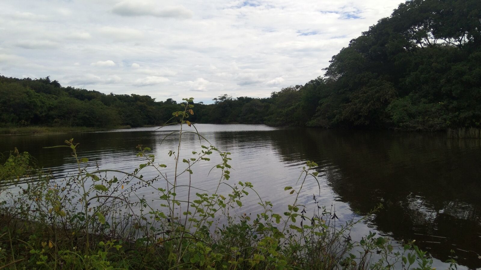 Xiaomi MIX sample photo. Water, lake, river photography