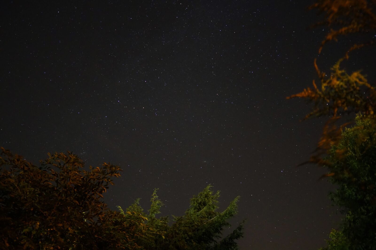 Sony a6000 + Sigma 19mm F2.8 EX DN sample photo. Star, night sky, long photography