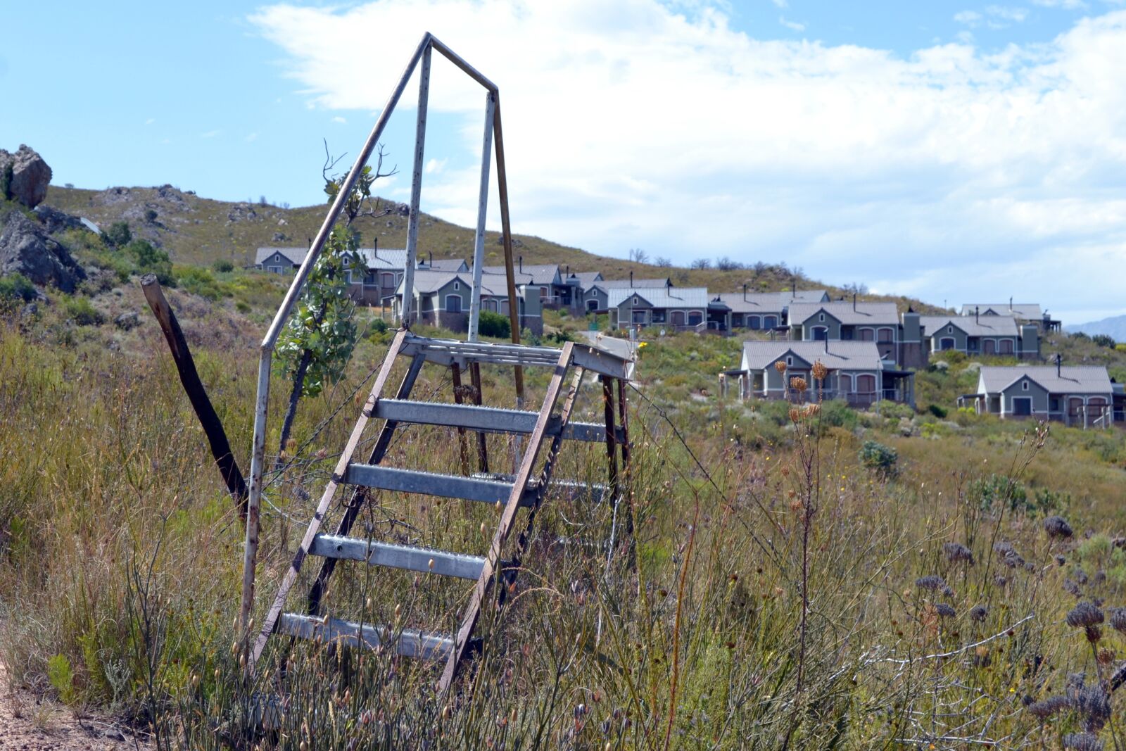 Nikon D3100 sample photo. Over, the, ladder photography