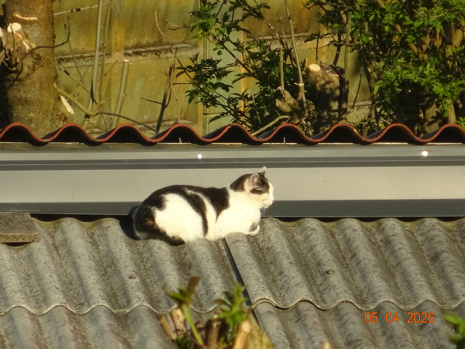 Sony Cyber-shot DSC-WX350 sample photo