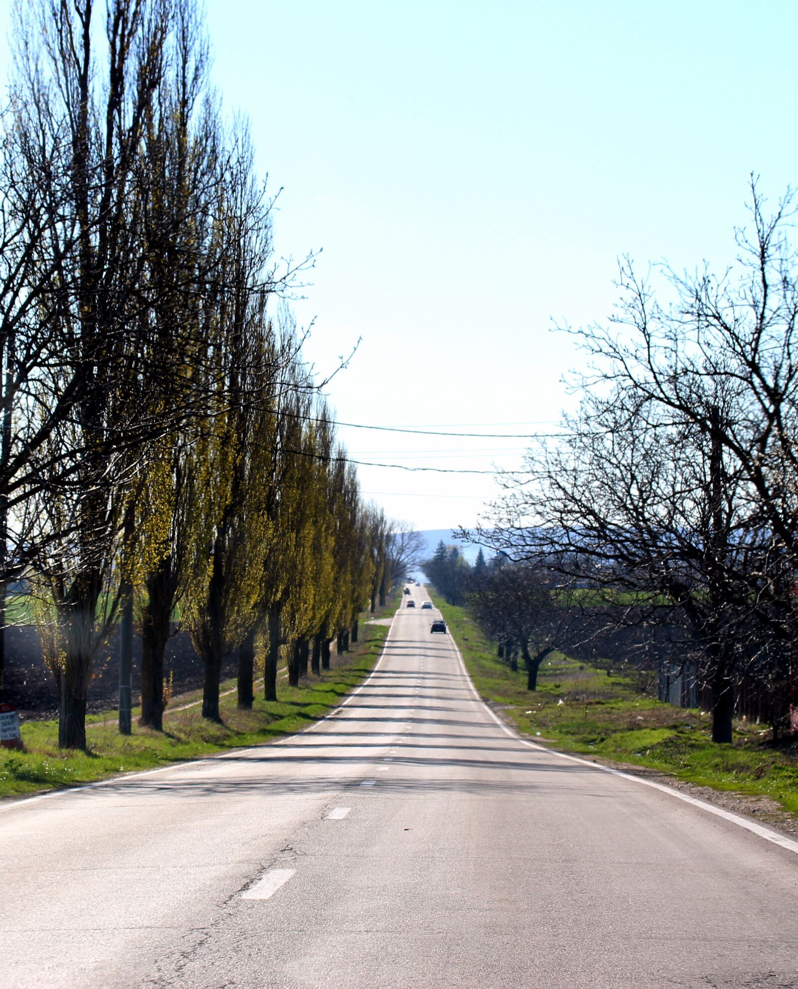 Canon EOS 700D (EOS Rebel T5i / EOS Kiss X7i) sample photo. Street, route, trees photography