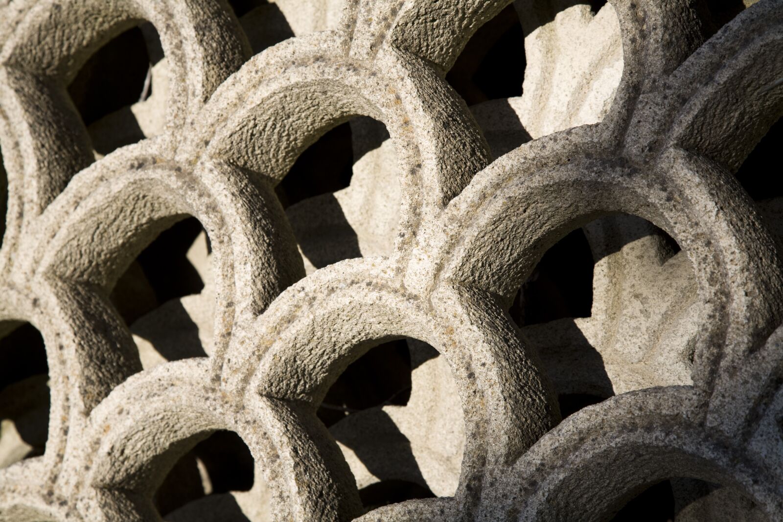 Canon EOS 5D sample photo. Detail, texture, pattern photography