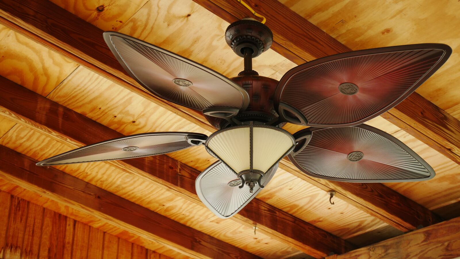 Panasonic Lumix DMC-GX85 (Lumix DMC-GX80 / Lumix DMC-GX7 Mark II) sample photo. Indoors, ceiling fan, interior photography