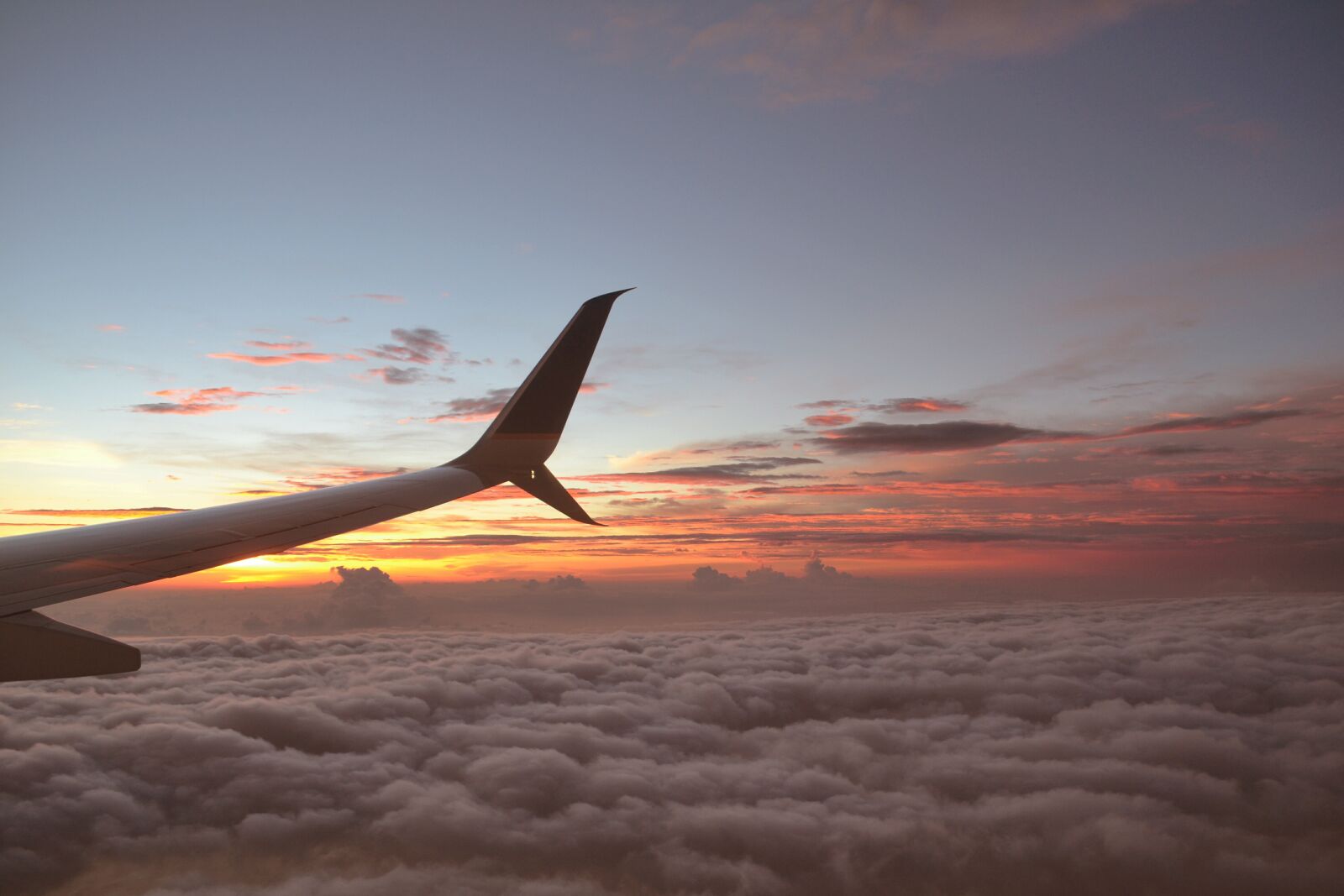 Nikon D3100 sample photo. Sky, plane, fly photography