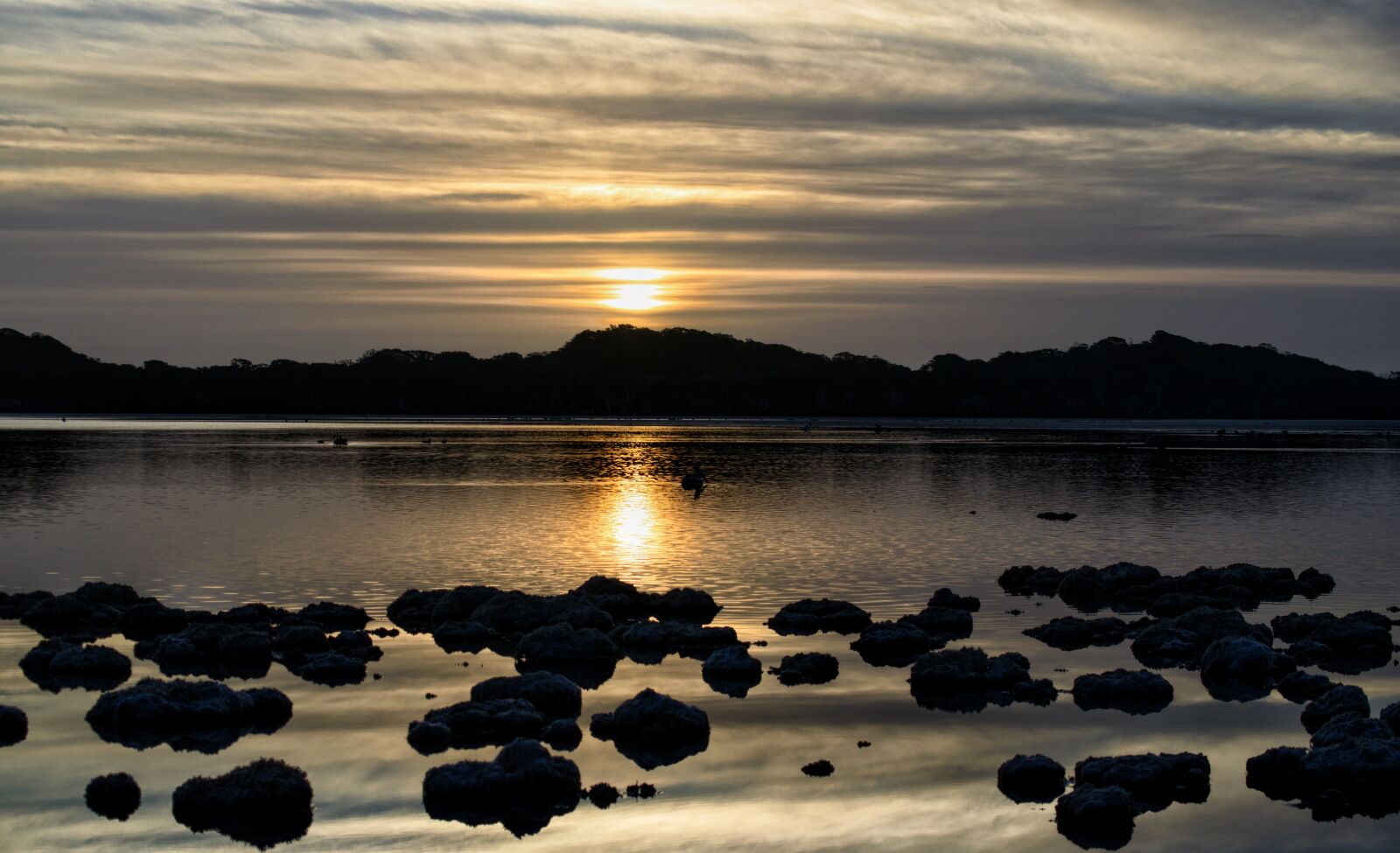 Nikon D3300 sample photo. Dawn, moody, east photography