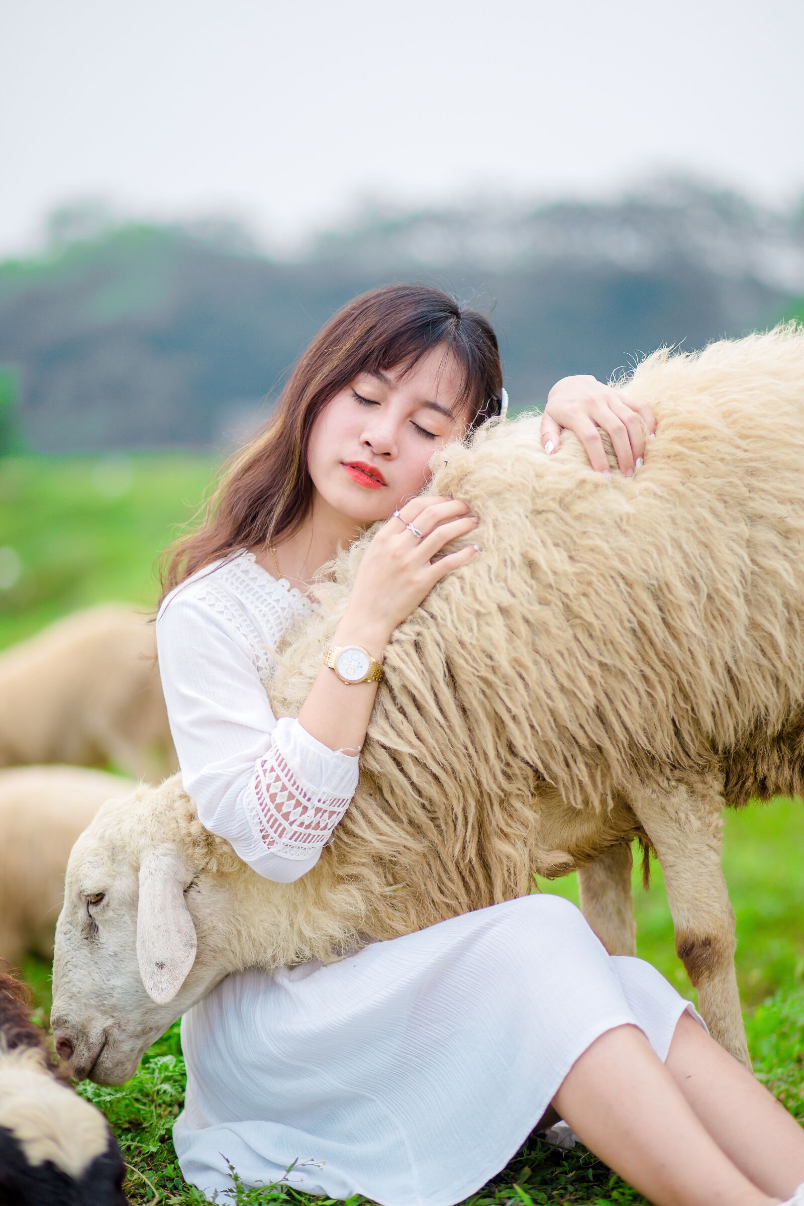 Canon EF 85mm F1.8 USM sample photo. Girl, sheep, lamb photography