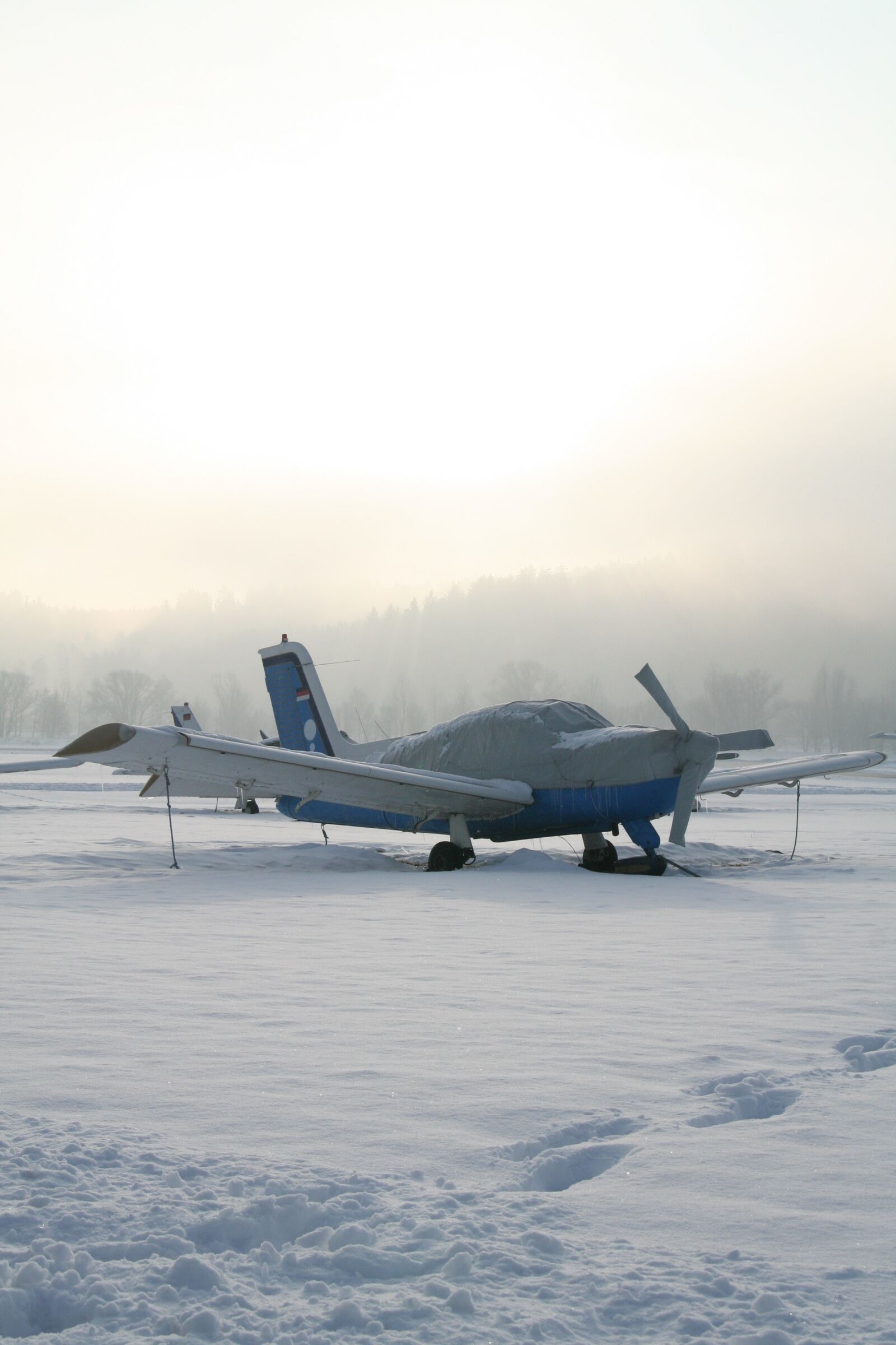 Canon EOS 350D (EOS Digital Rebel XT / EOS Kiss Digital N) sample photo. Aircraft, propeller plane, m17 photography