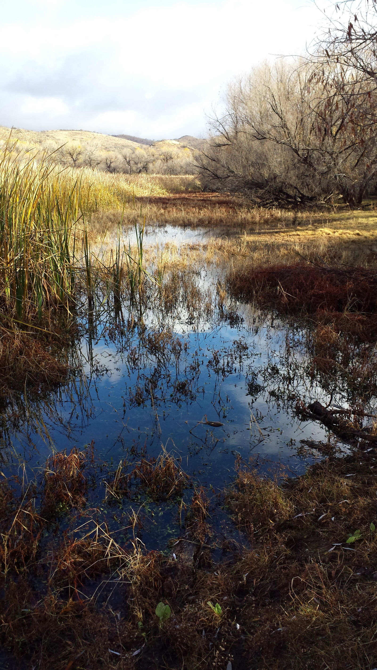 Samsung Galaxy S4 sample photo