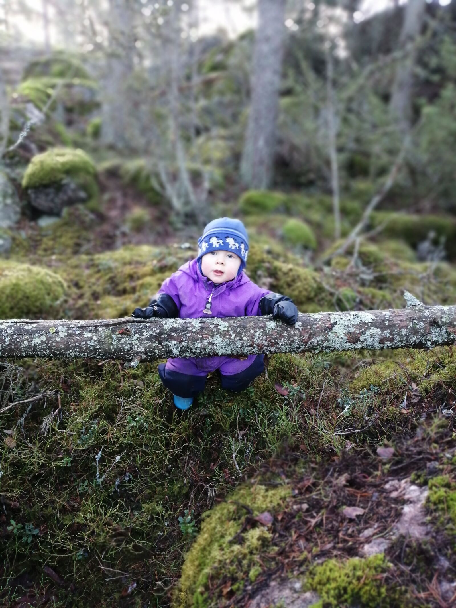 HUAWEI P SMART 2019 sample photo. Boy, child, forest photography