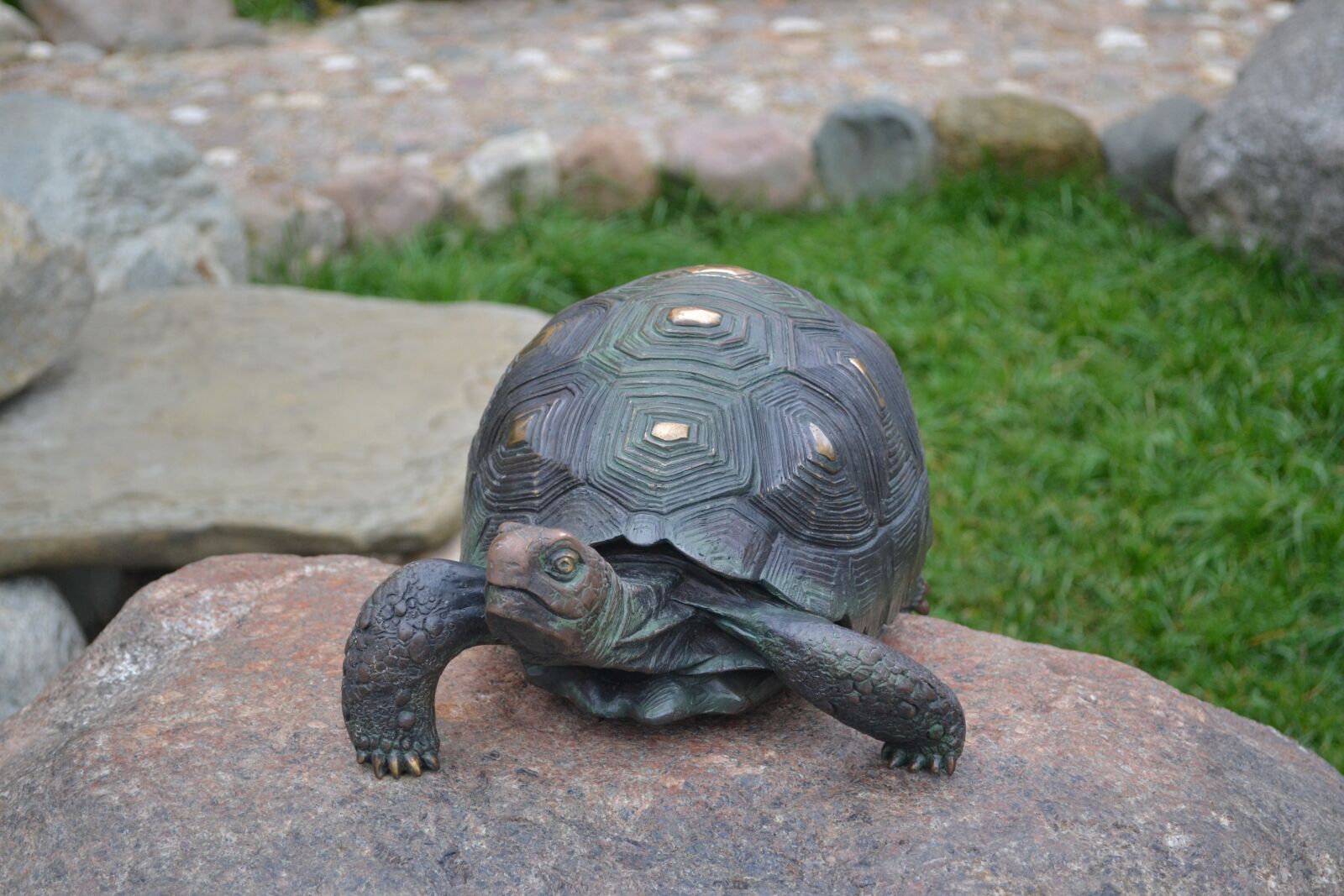 Nikon D3100 sample photo. Tortoise, stone, bronze photography