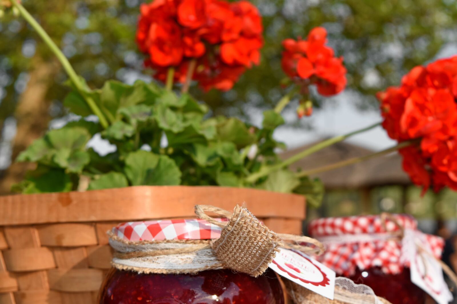 Nikon D5500 sample photo. Jam, jar, still life photography
