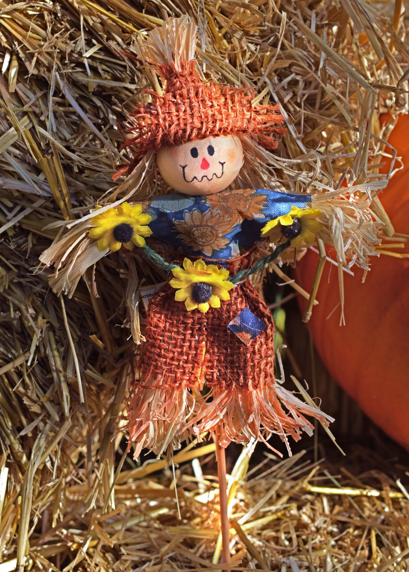 Nikon D3200 sample photo. Scarecrow, autumn, fall photography