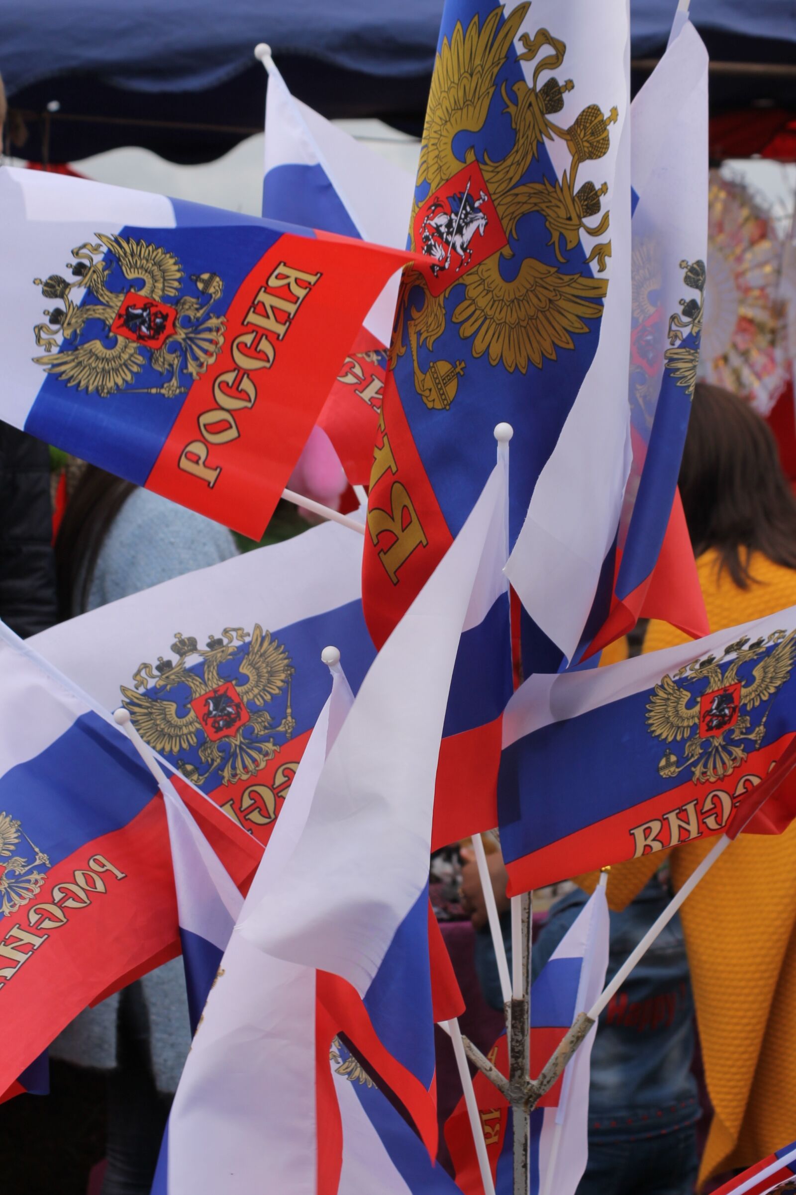 Canon EOS 1100D (EOS Rebel T3 / EOS Kiss X50) sample photo. Russia, flag, patriotism photography