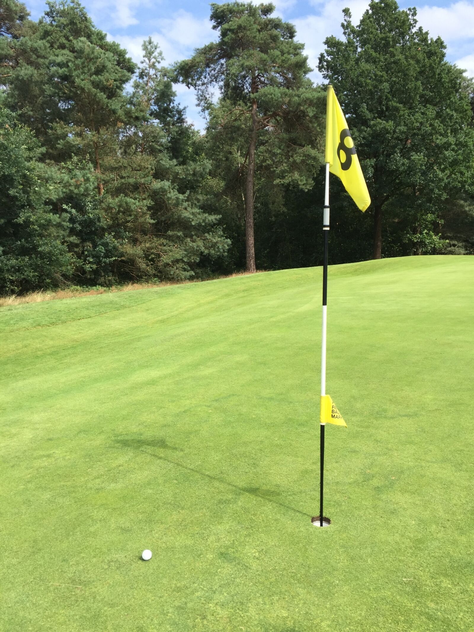 Apple iPhone 6 sample photo. Golf, golf course, sports photography