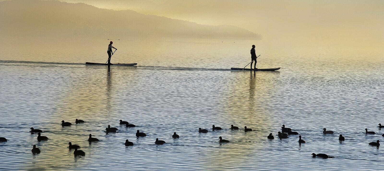 Nikon D3000 sample photo. Lake, water, rest photography