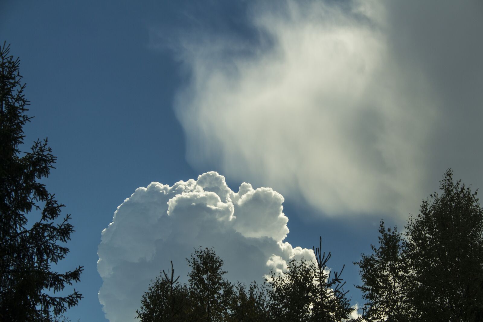 Canon EF-S 18-55mm F3.5-5.6 II sample photo. Sky, nature, blue photography