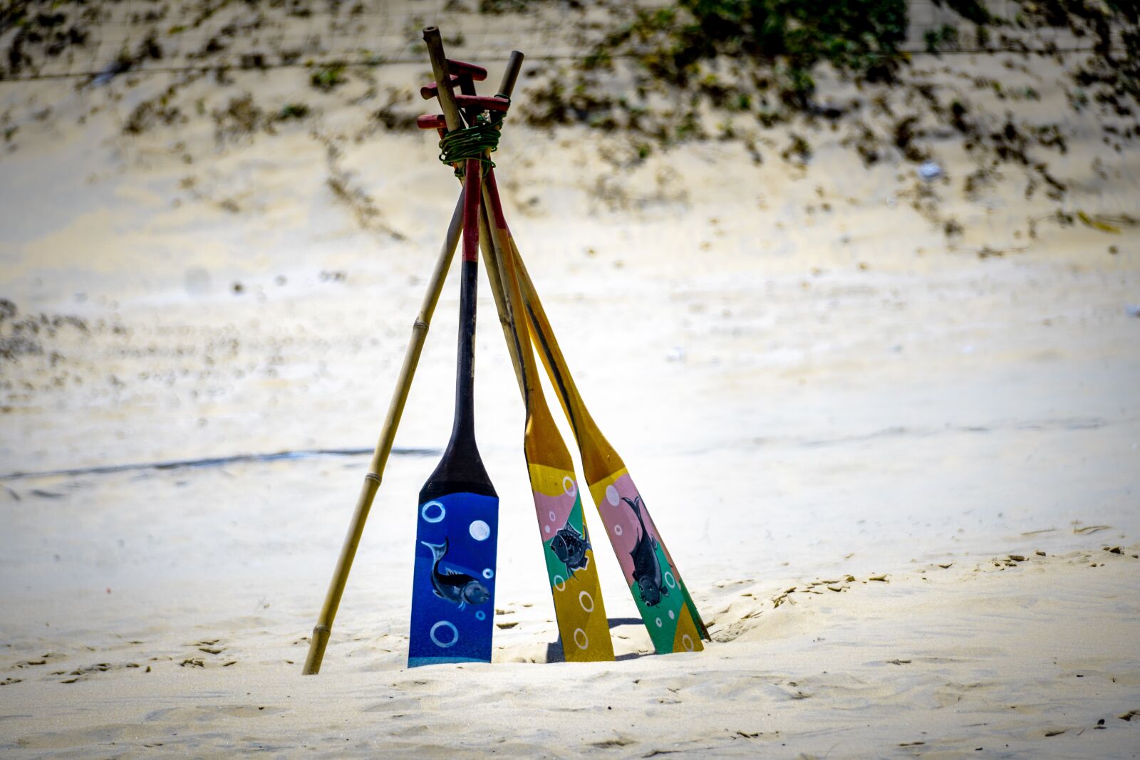 Sony E 70-350mm F4.5-6.3 G OSS sample photo. Beach, travel, sea photography