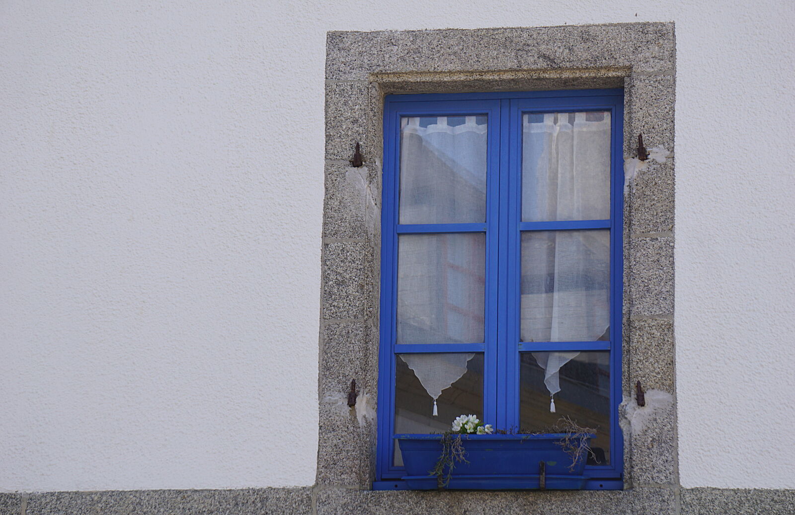 Sony a6000 sample photo. Bleu, fenetre, fleurs, rideaux photography