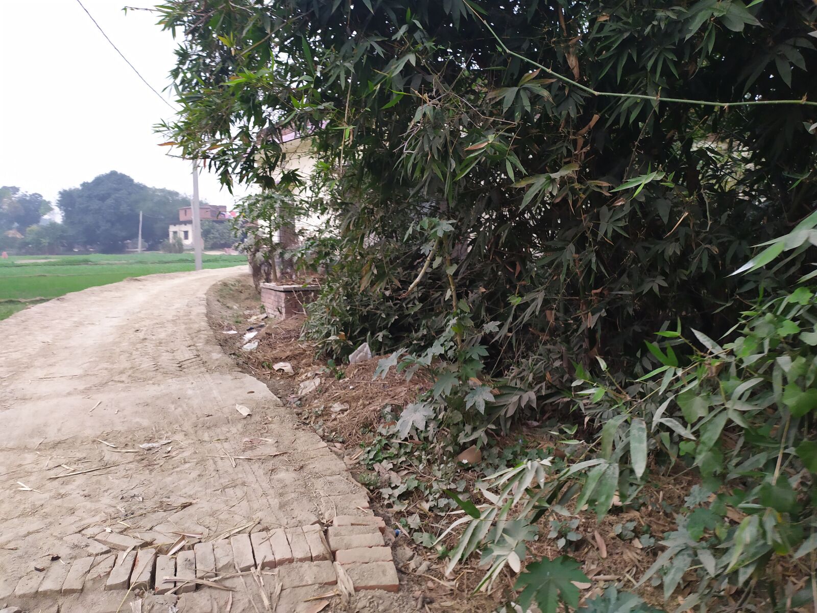Xiaomi Redmi Note 7 sample photo. Village road, pathway, nature photography