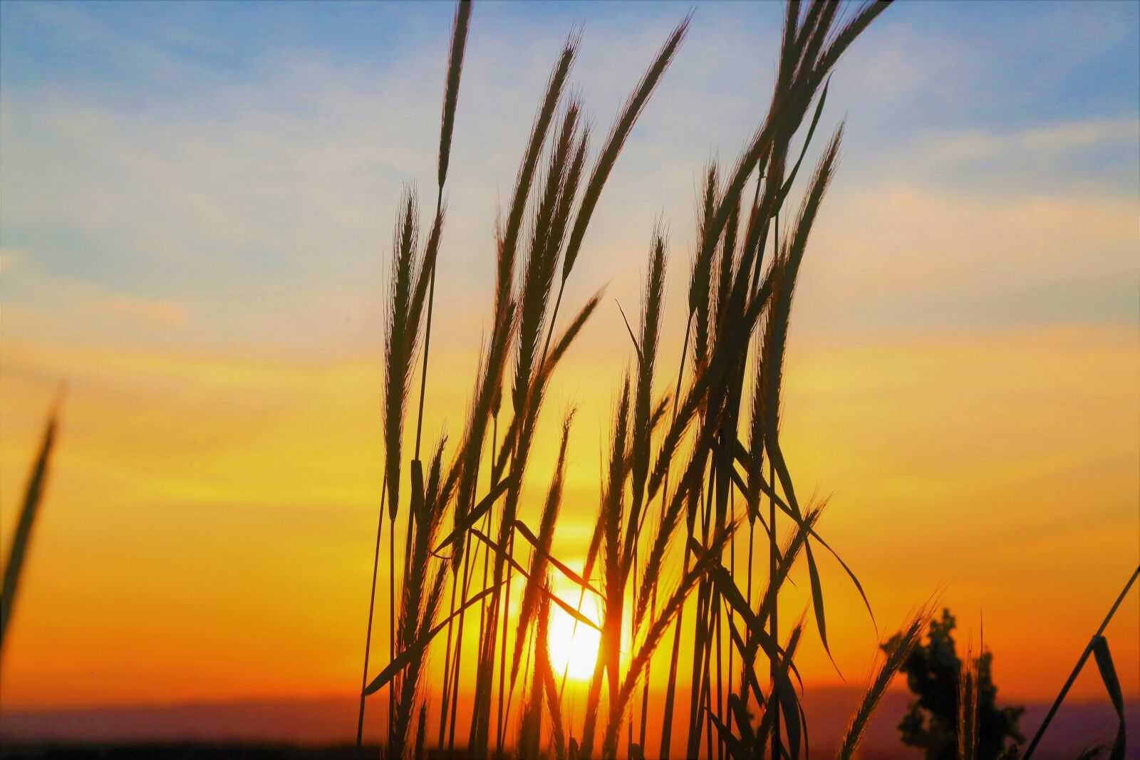 Canon EF 24-105mm F4L IS USM sample photo. Sunset, in the evening photography