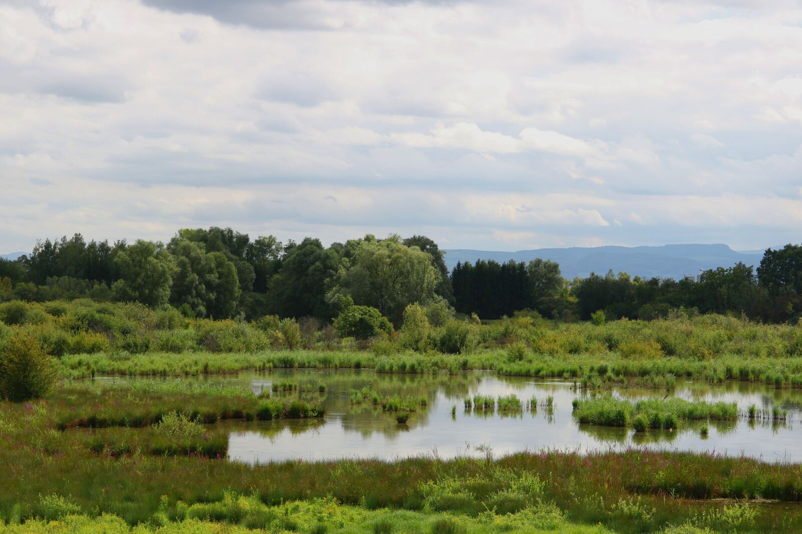 Canon EOS 750D (EOS Rebel T6i / EOS Kiss X8i) sample photo. Nature, landscape, landscapes photography