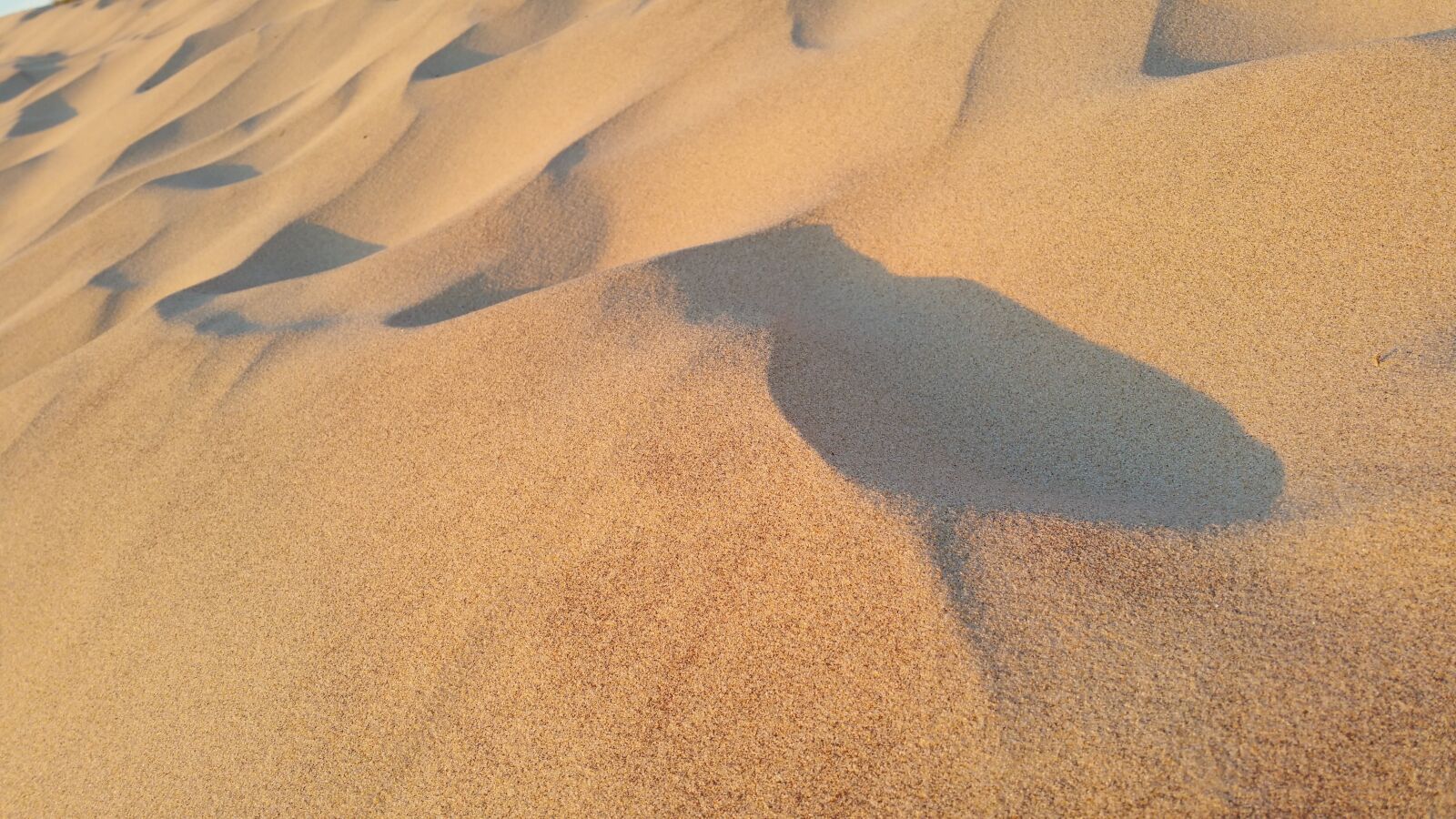 Samsung Galaxy Note4 sample photo. Sand, beach, ocean photography