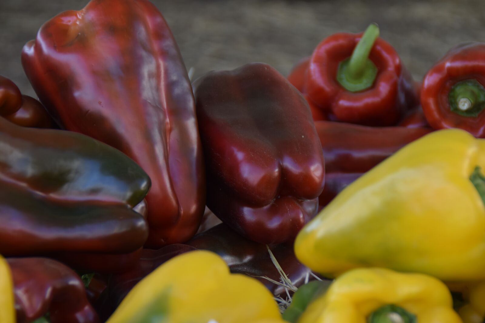 Nikon D5300 sample photo. Pepper, red bell pepper photography