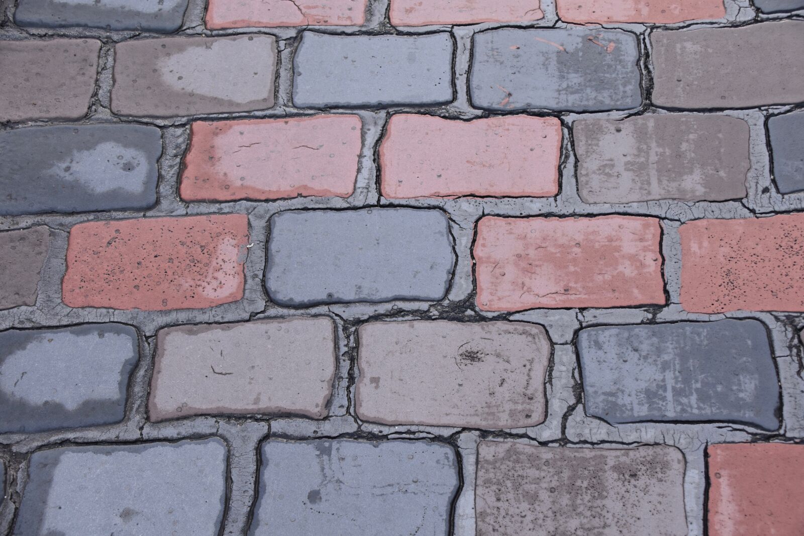 Nikon D5600 sample photo. Pavers, soil, pavers red photography
