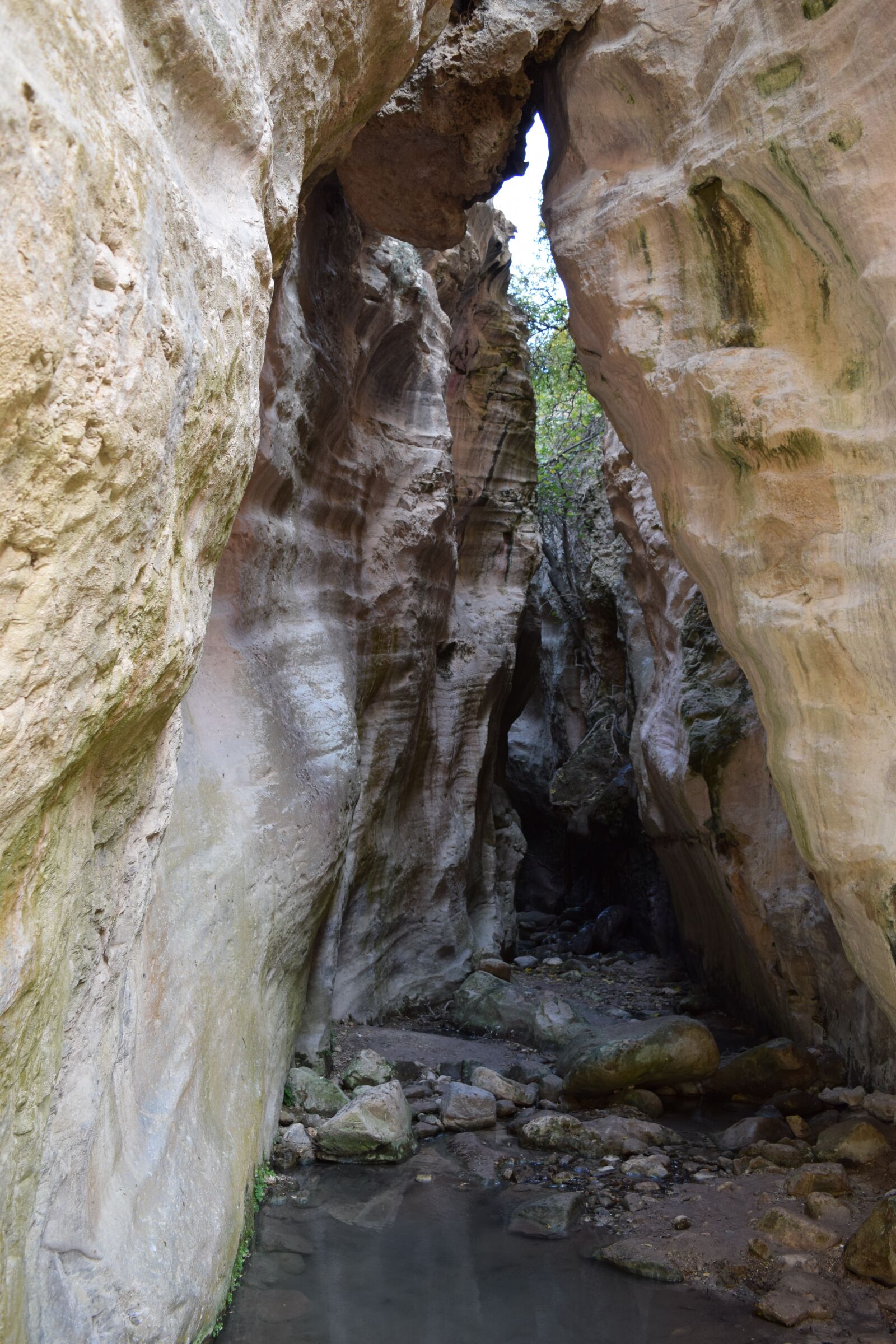 Nikon D3300 sample photo. Avakas gorge, cyprus, gorge photography