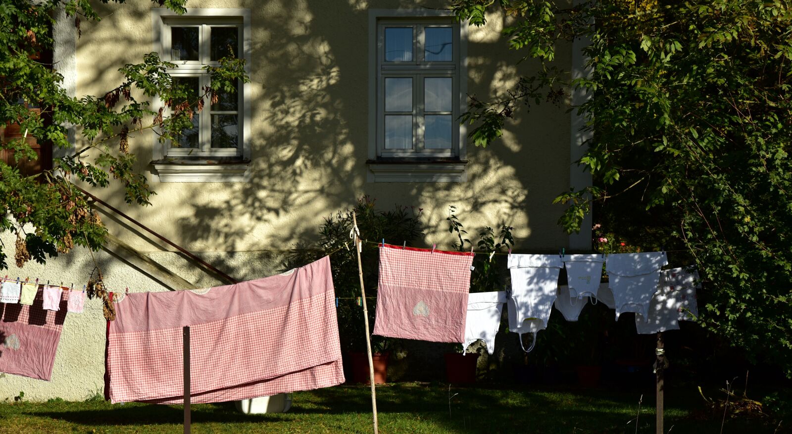 Nikon D750 sample photo. Leash, clothes line, hang photography