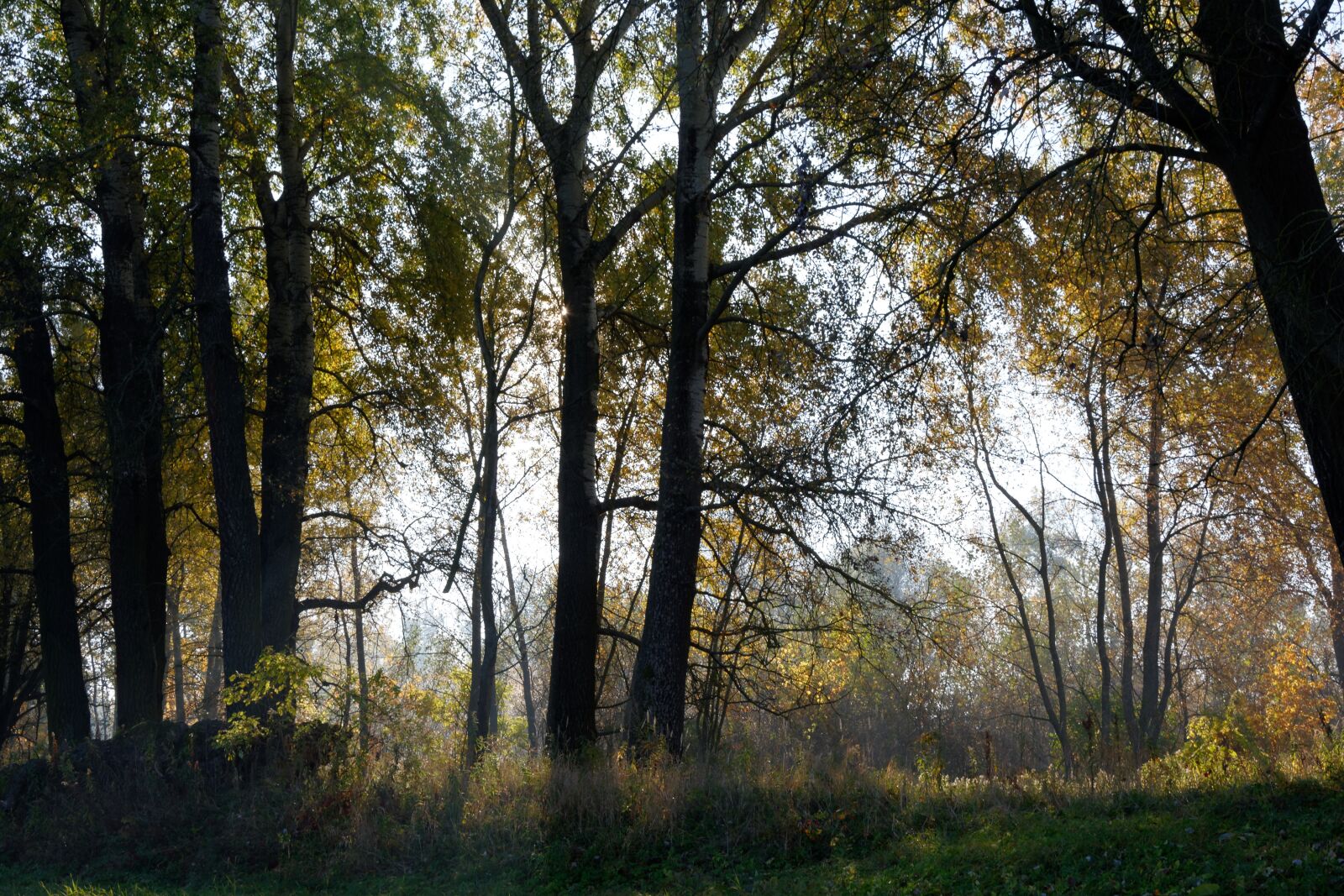 Nikon D5200 sample photo. Sunrise, the rays, light photography