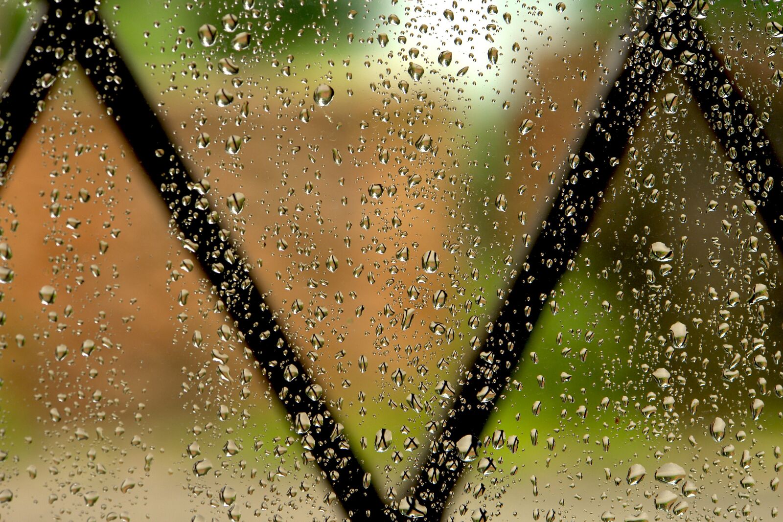 Sony DSC-R1 sample photo. Rain, window, grateful photography