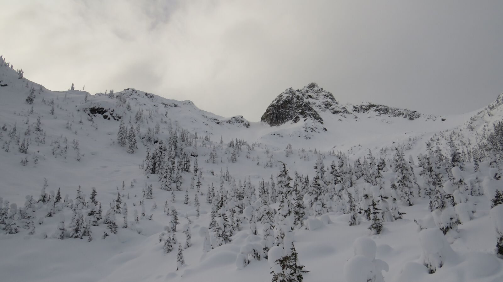 Canon PowerShot SX50 HS sample photo. Canada, winter, nature photography
