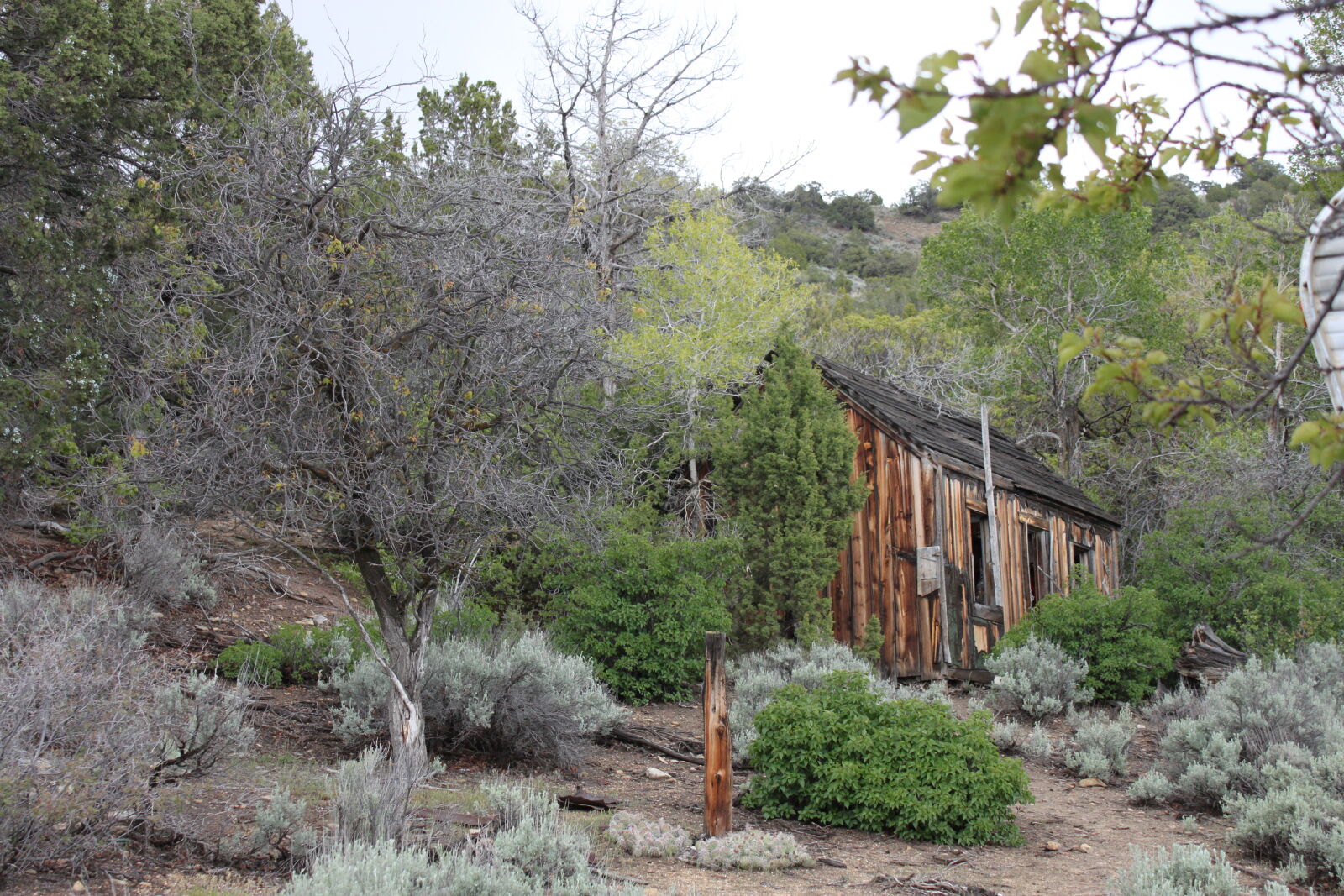 Canon EF-S 18-55mm F3.5-5.6 IS sample photo. Cabin, mountains, trees, wooden photography